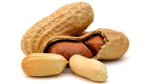Thy Peanuts