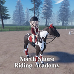 Wild Heart Stables Competition Group