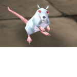 Rat sewer party join now