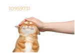 Whyos is pog