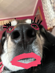 C00L BOI UGC