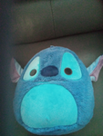Stitch crew only