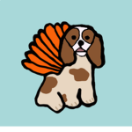 TURKEY_LAYLA
