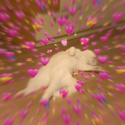 ʚ♡ɞ