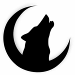 Arc Moon Studios