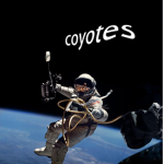 coyotes