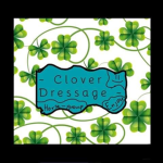 ~ Clover Dress@ge ~