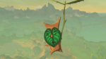 Rito Village