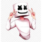 arlxia_YT