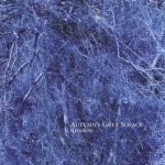 Autumns Grey Solace