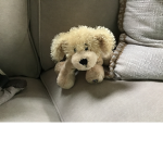 Webkinz Fan Group!