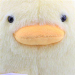 I l0ve ducks