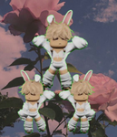 Jacks Jackrabbits