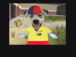 Sigma dog 9321