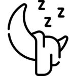 Z z z Productions