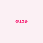 이나그룹