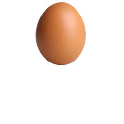 Egg Clan Prison