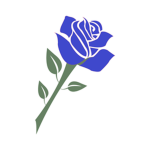 [BLUE ROSE] RAIDER