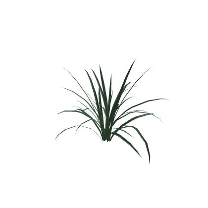 🏗️ Tall Grass / Plant Ocean Wilderness Island
