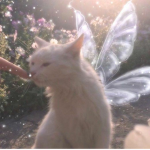 digitalkittyy
