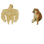 The chad doge squad