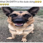 [vroom vroom]