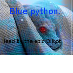 BP(bule pythorn