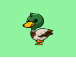 Loyal Quacker's