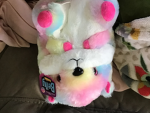 hamster1325