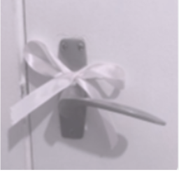 ɞ・
