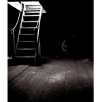 The Friendly Basement