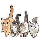 HorrorCatsss
