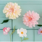 Flowers_Aesthetic