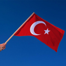 Türk Tycoon 2