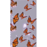 BuTtErFlY sQuAd/always is happy
