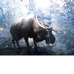 The Meese