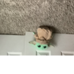 Grogu fan club