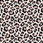Ava's clothing boutiqe
