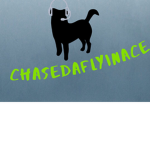 Chase Da Flyin Ace