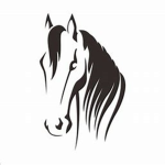 Mountain Meadows Stables