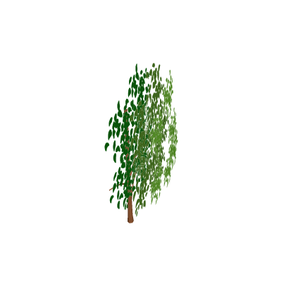 AnimeTree_Simplified