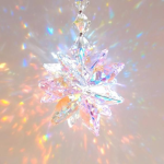 -Crystal Shins Dance Academy-