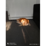 [ Content Deleted 12232415 ]