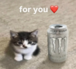 cringlifengl youtu be