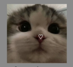 Sanriocutecore