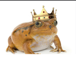 Frog King group