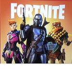 ~Fortnite Group 13~