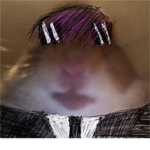! xᴏᴛɪᴄ