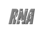 Roblox Non-Stop Action (RNA)