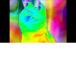 rainbow frogs